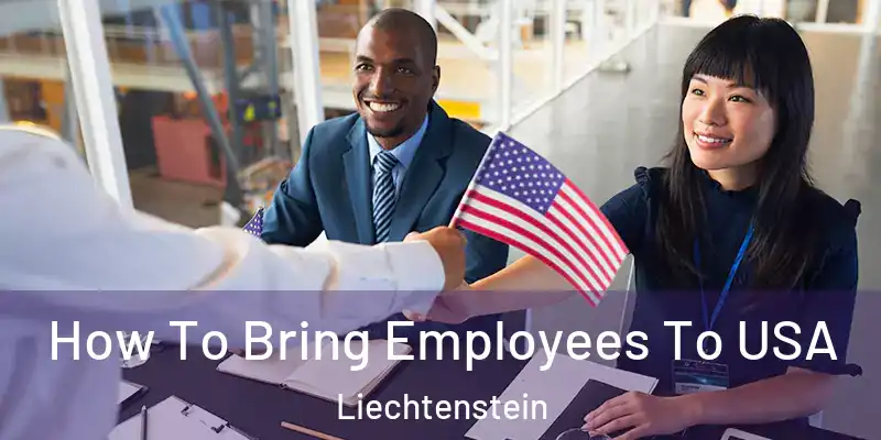 How To Bring Employees To USA Liechtenstein