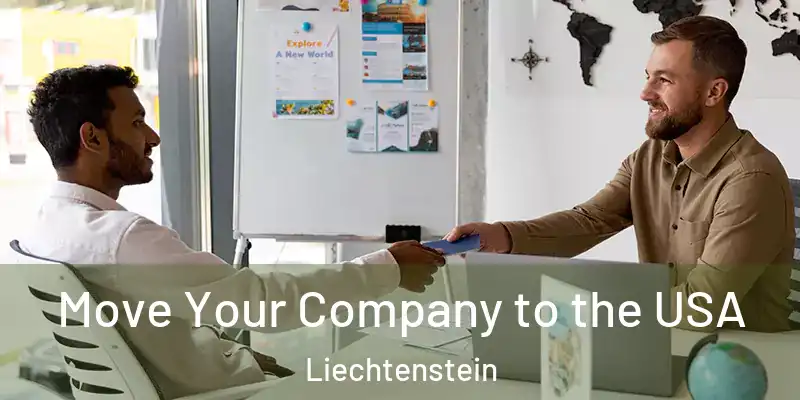  Move Your Company to the USA Liechtenstein